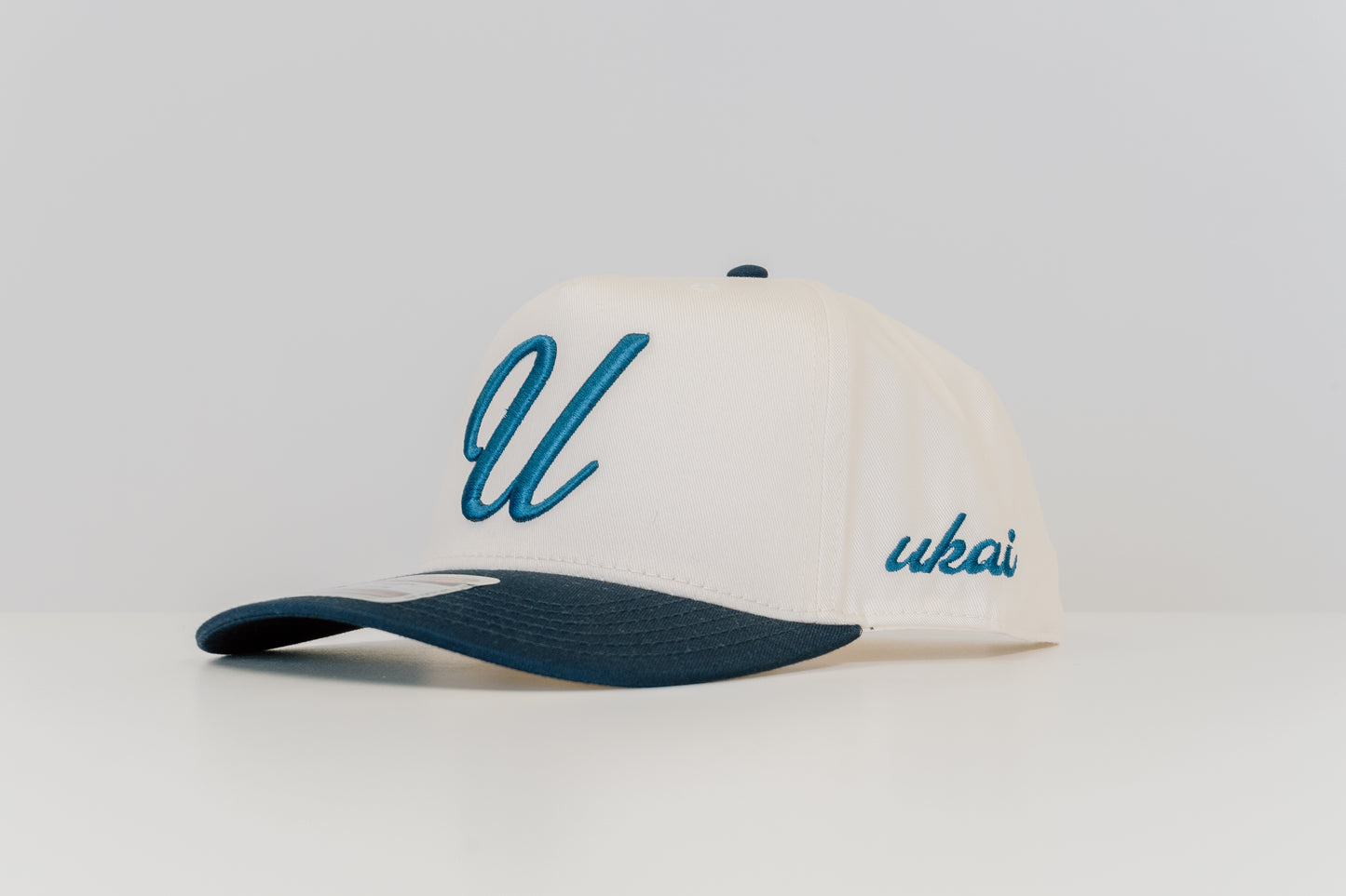 Foundations Snapback